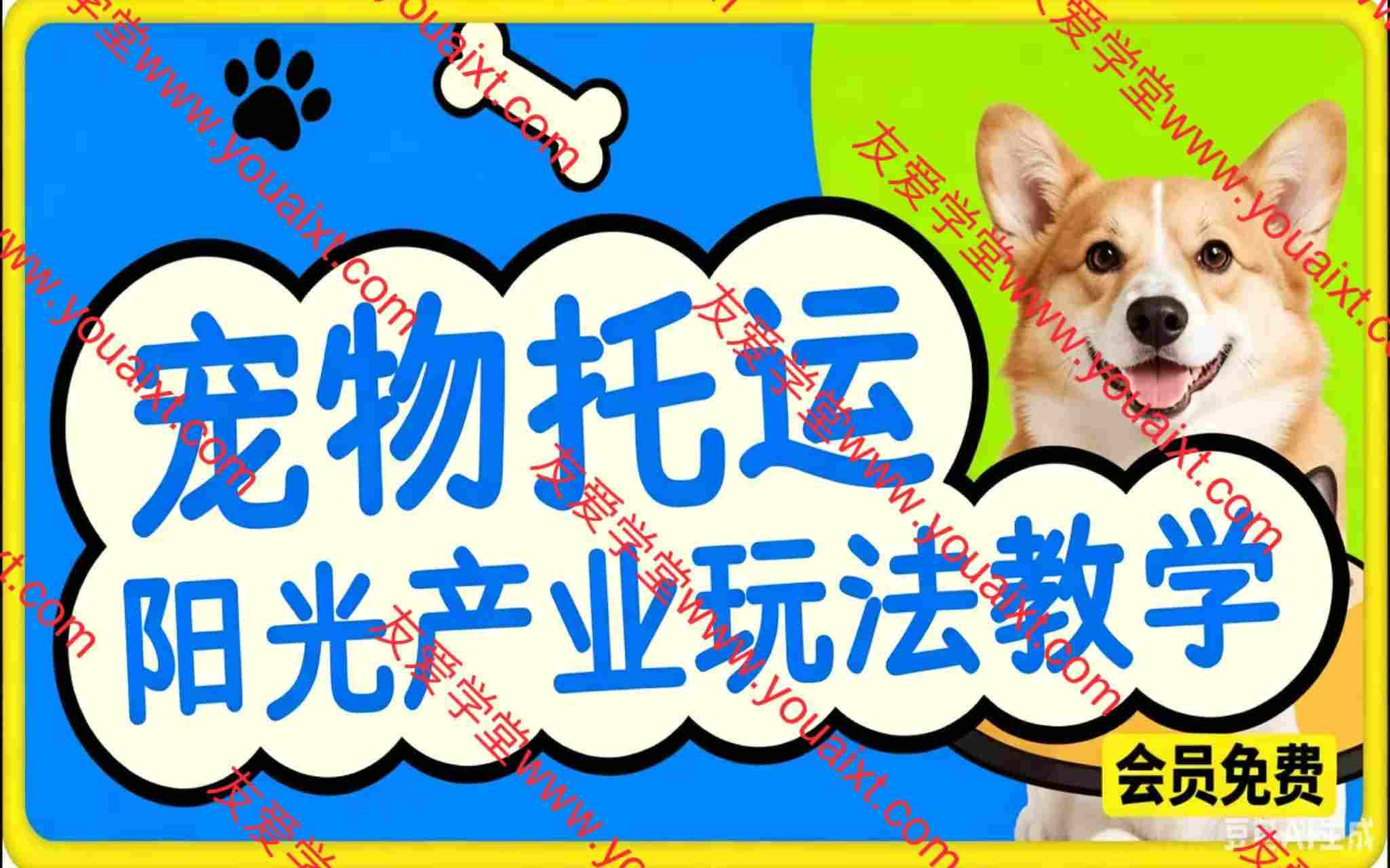 宠物托运阳光产业玩法教学，市面上少有的宠物赛道赚钱玩法