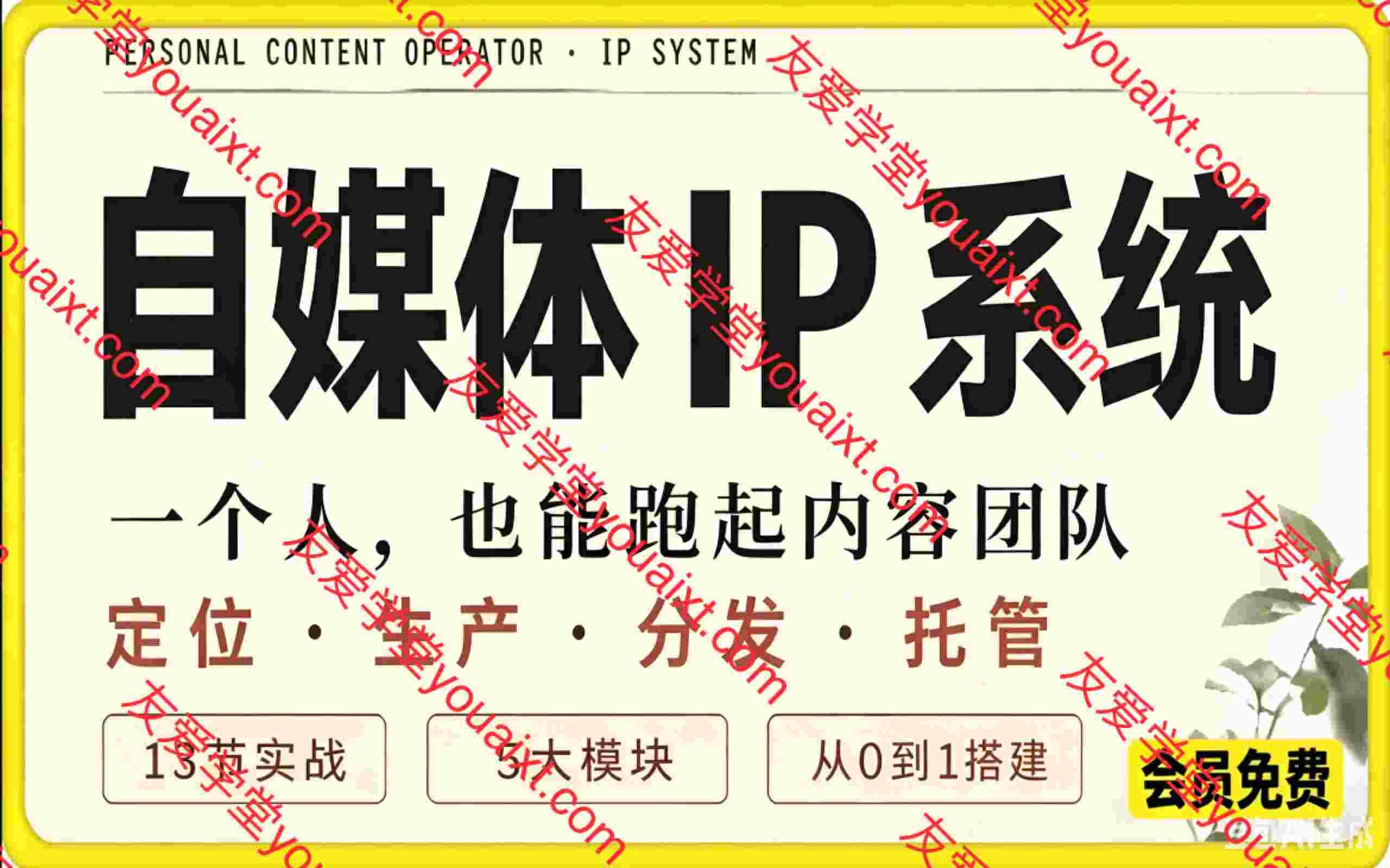 Codex自媒体IP系统实战课,一个人也能起跑内容团队