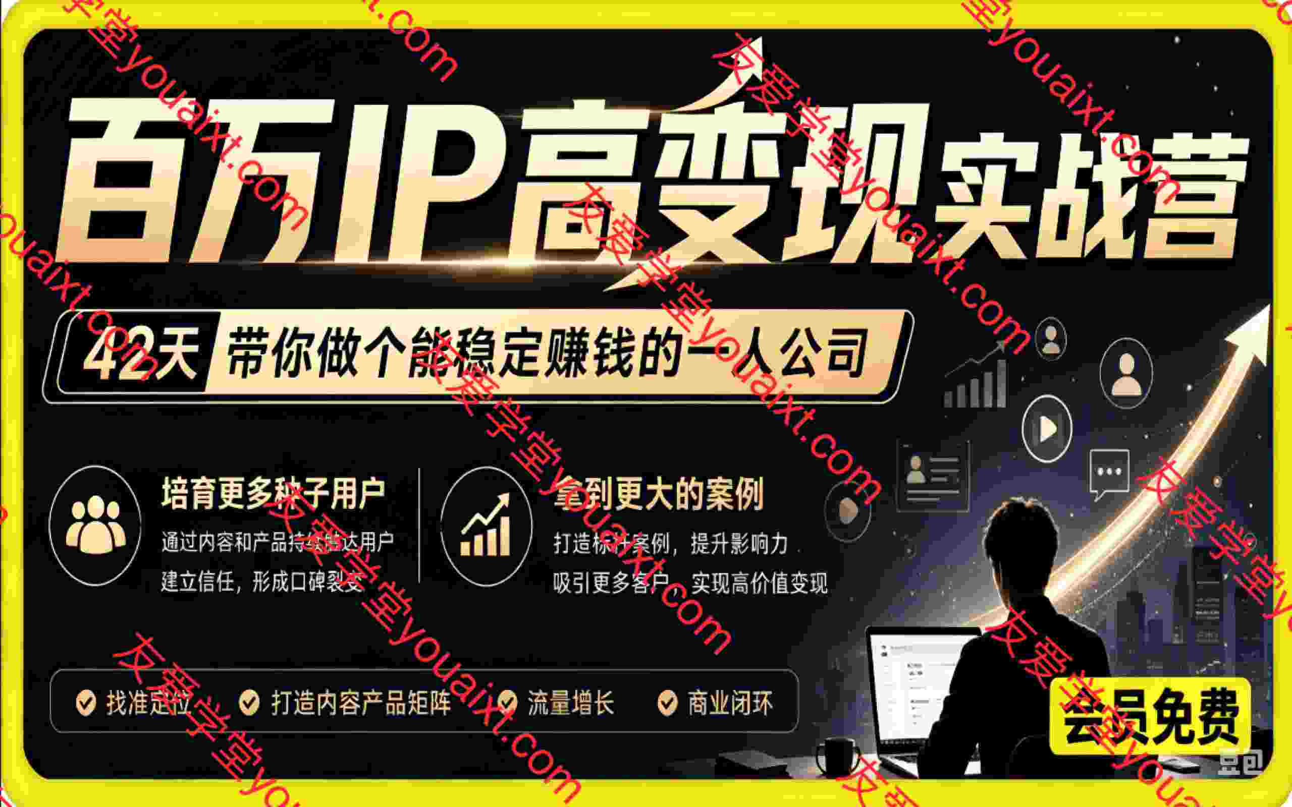 百万IP高变现实战营，42天带你做个能稳定赚钱的一人公司，培育更多种子用户，拿到更大的案例