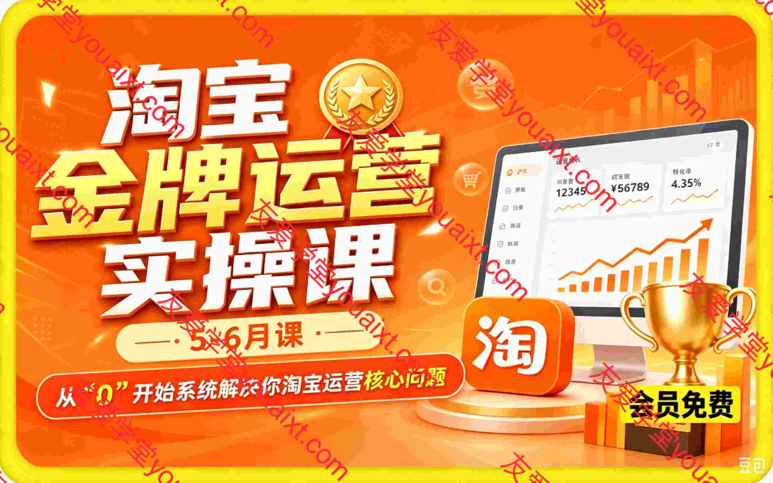 淘宝金牌运营特训班【5-6月课】， 从0开始解决淘宝运营核心问题