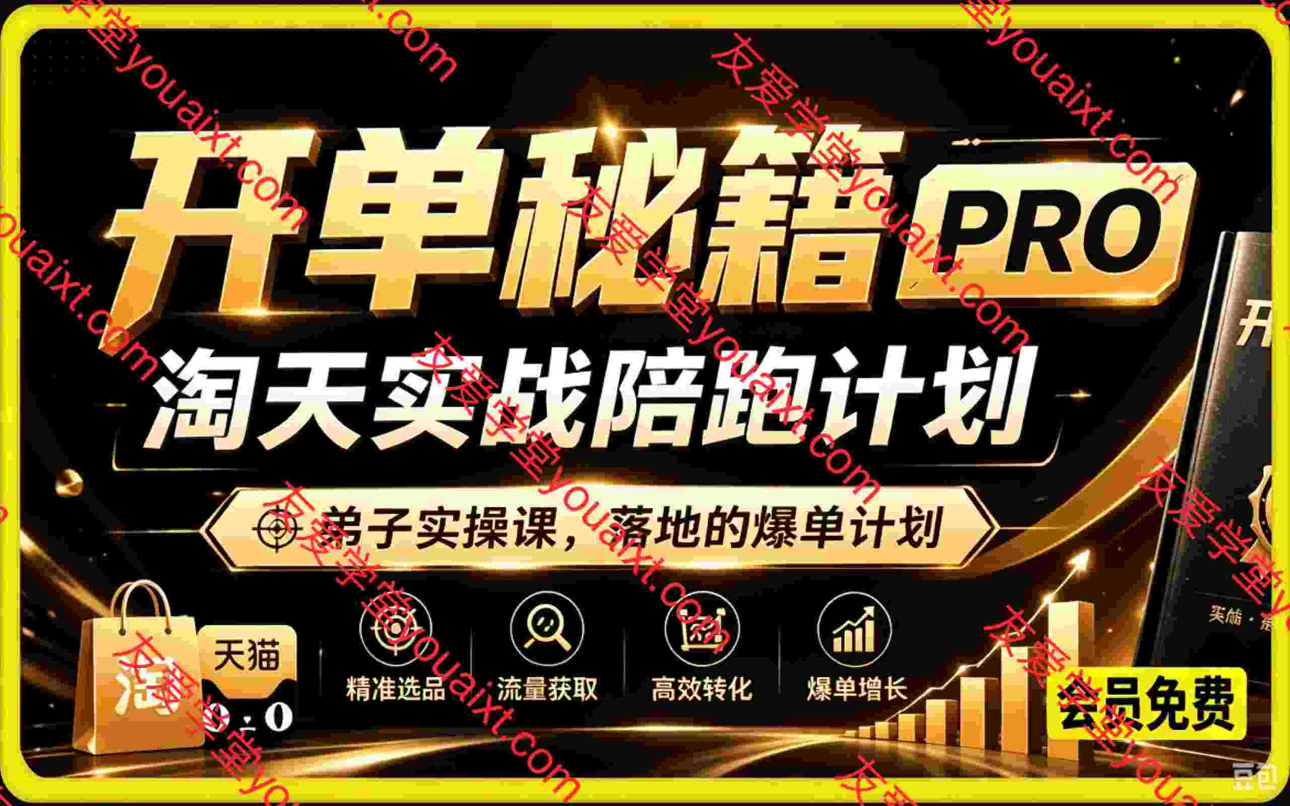 开单秘籍PRO淘天实战陪跑计划,弟子实操课,落地的爆单计划