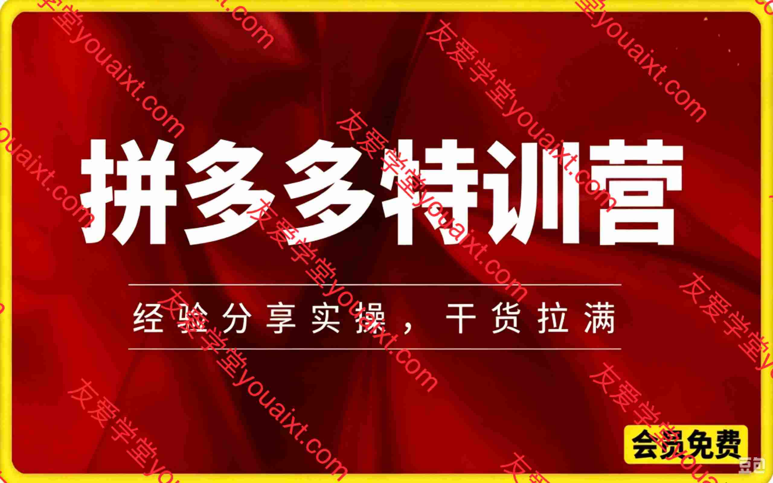 拼多多特训营，各种玩法技巧落地实操，3-9月