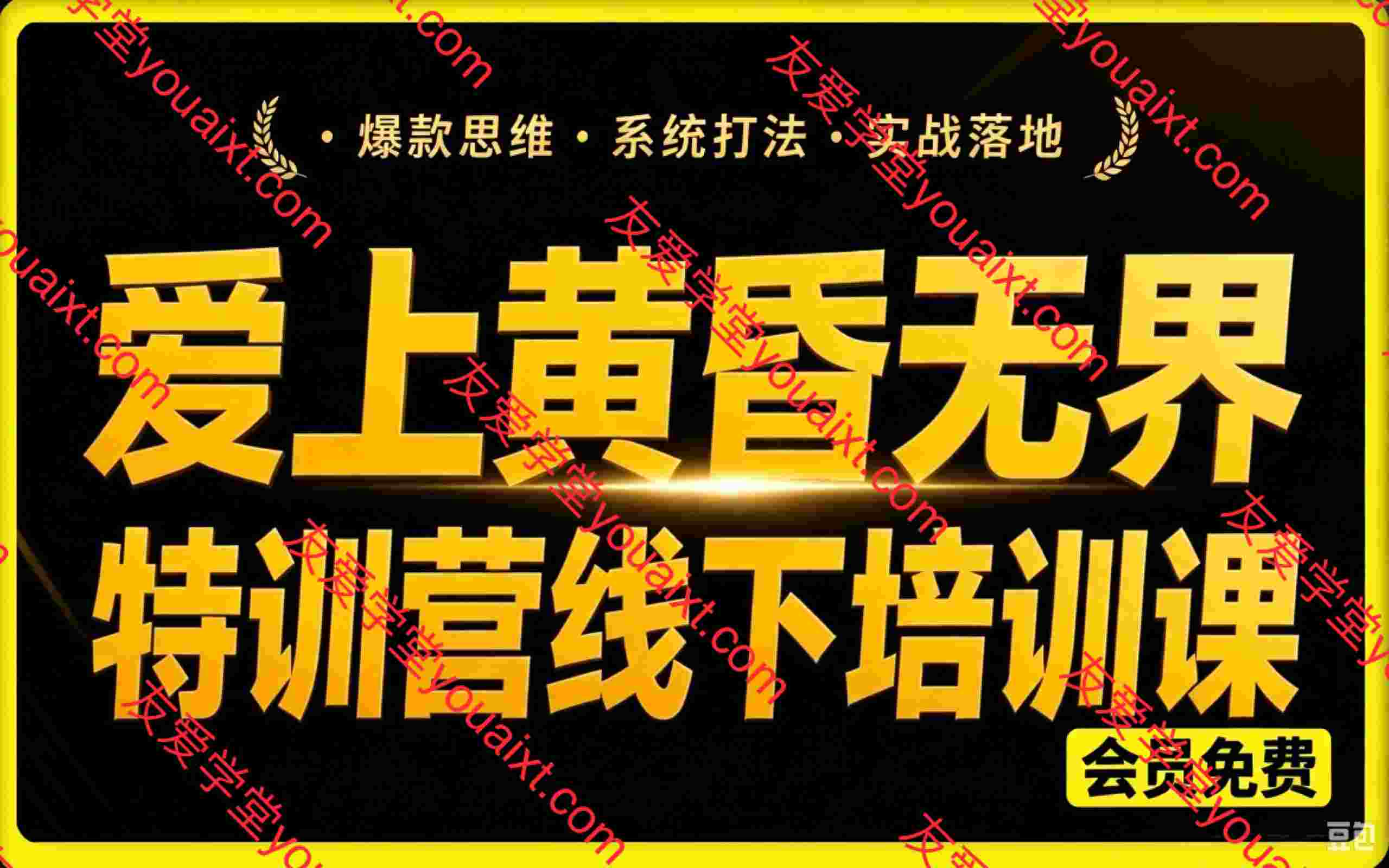 XX黄昏·7月底淘宝电商无界特训营线下课 3天录音加字幕+完整SOP+xmind思维导图